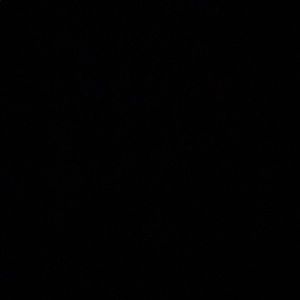 Meet your Posher, Troy